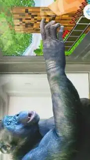 ai character: Kanzi background