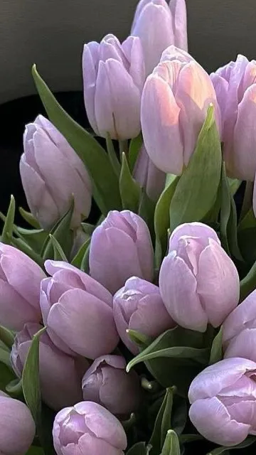 ai character: The bloodbath gang background