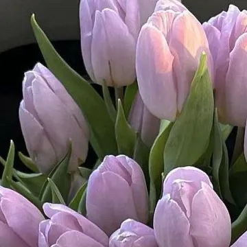 chat with ai character: The bloodbath gang