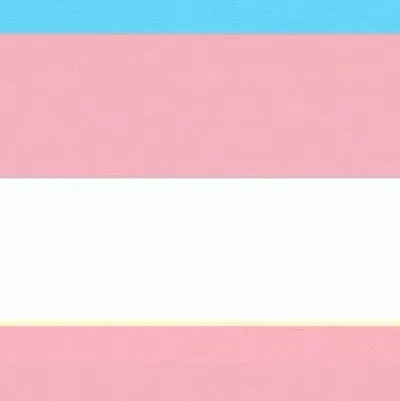 chat with ai character: Transgender test