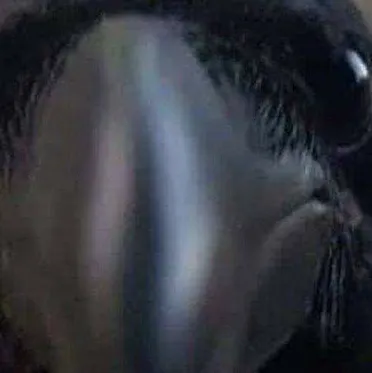 chat with ai character: Hivfdbfdiydddutzfz