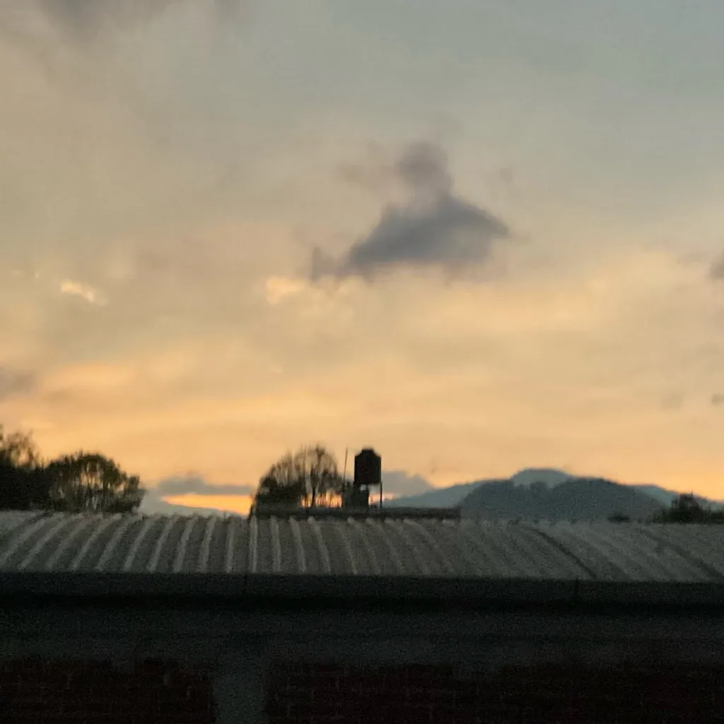 chat with ai character: Im sick 