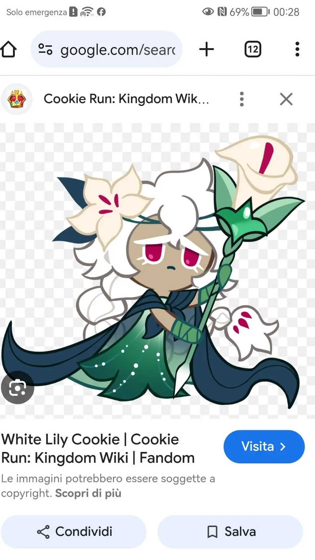 ai character: {Fligthless bird}  background