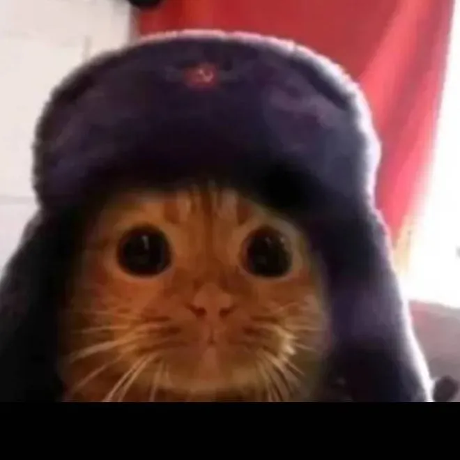 chat with ai character: кот ссср