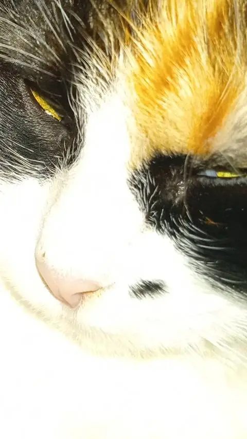 ai character: с 2026! background