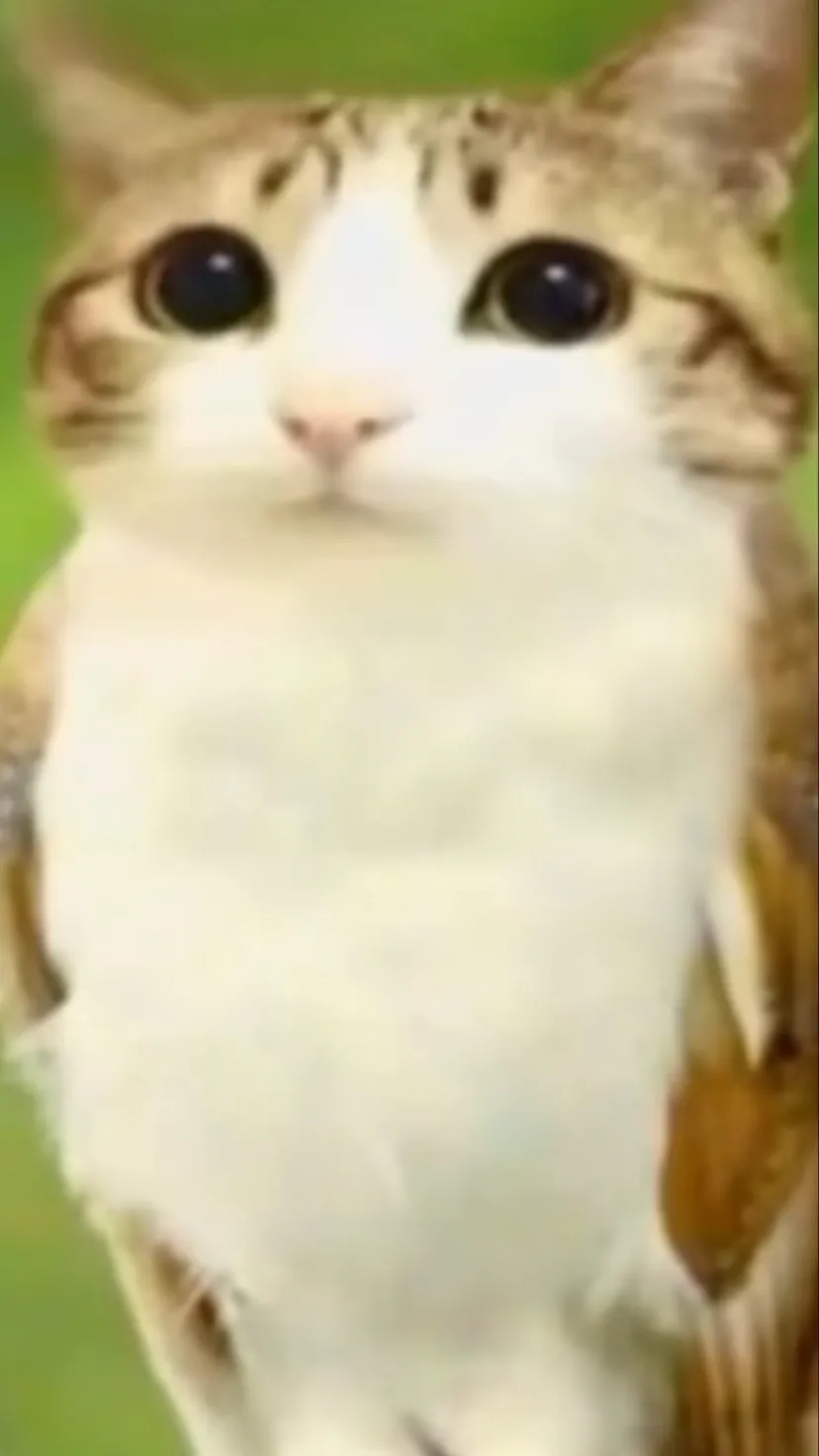 ai character: MEOWL background