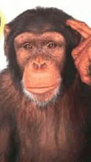 ai character: Smart ahh monkey background