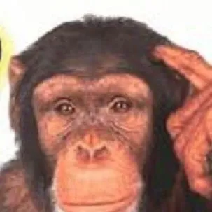 chat with ai character: Smart ahh monkey