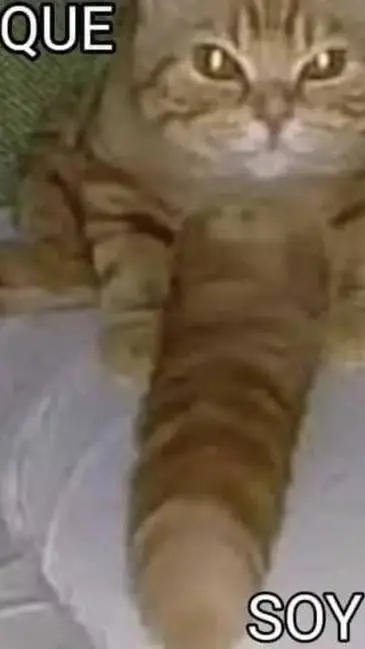 ai character: es que soy tímido background