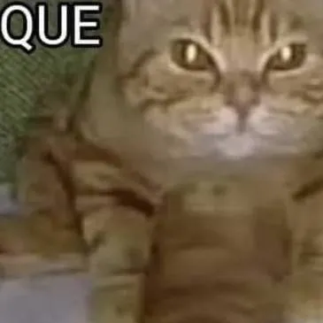 chat with ai character: es que soy tímido