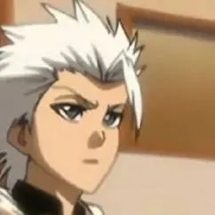 chat with ai character: Hitsugaya toshiro