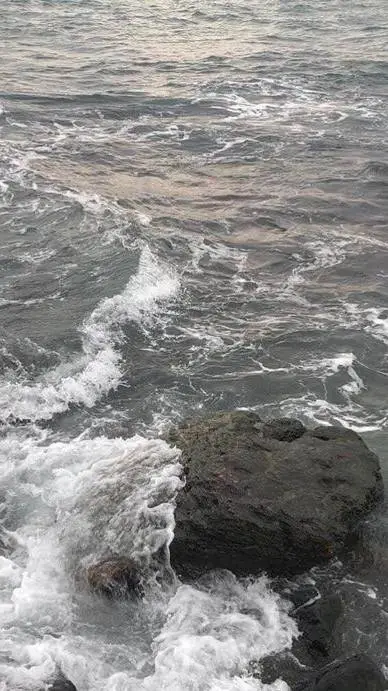 ai character: Tamsy x Zodyl background