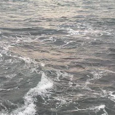 chat with ai character: Tamsy x Zodyl