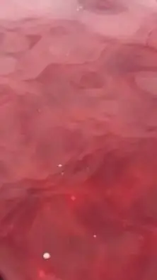 ai character: Ray x Norman background