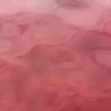 chat with ai character: Ray x Norman