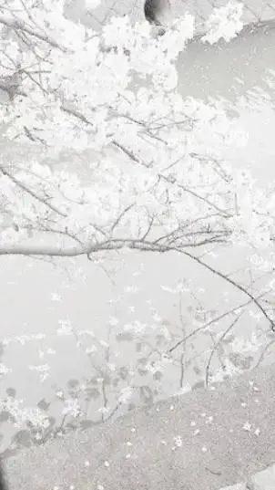 ai character: Ray x Norman background