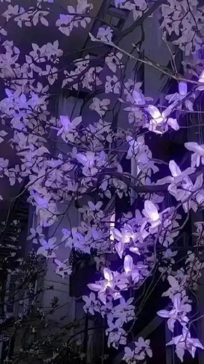 ai character: Douma x Akaza background