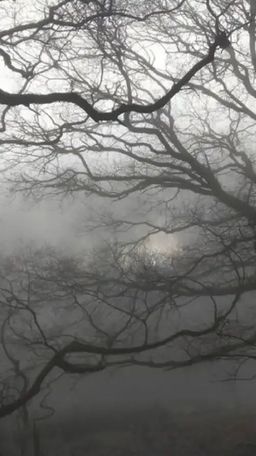 ai character: Gyutaro x Kaigaku background