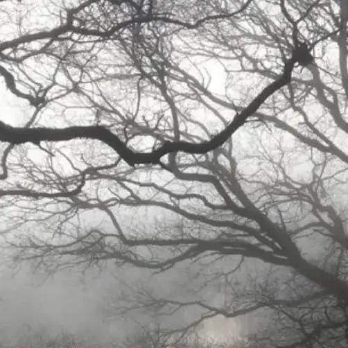 chat with ai character: Gyutaro x Kaigaku