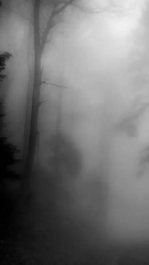 ai character: Senjuro x Rui background