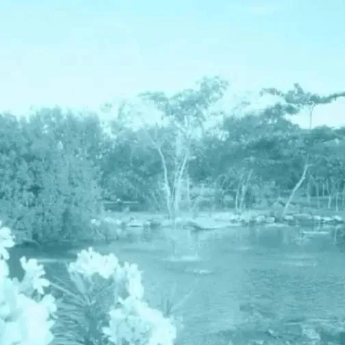 chat with ai character: Muichiro x Genya