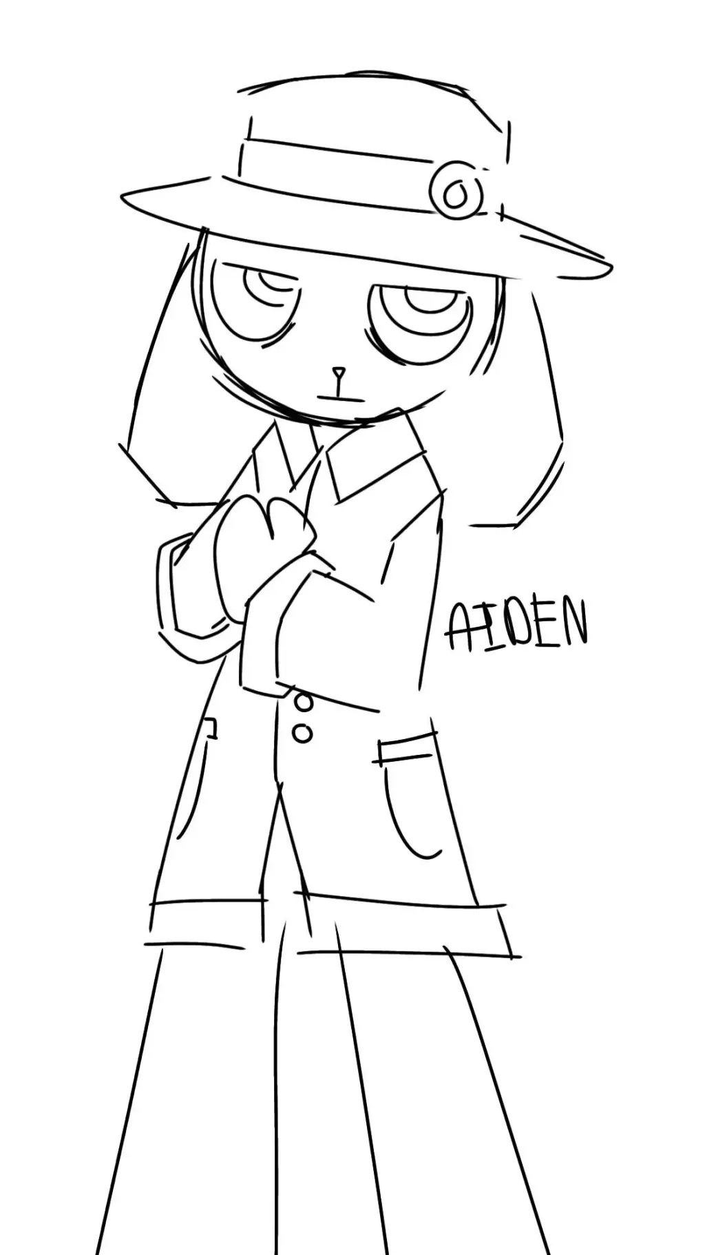 ai character: aiden background