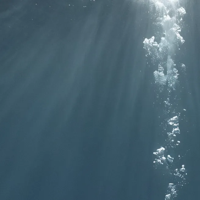 chat with ai character: dawn x shark pupet