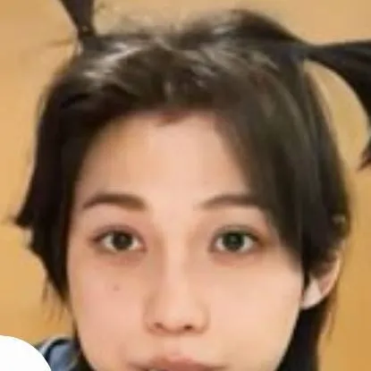 chat with ai character: stray kids