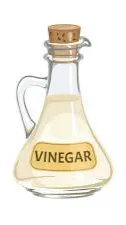 ai character: vinegar background