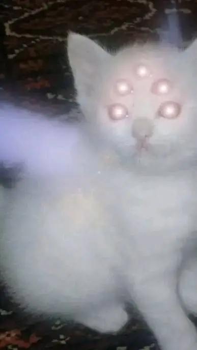 ai character: Gatito o un oc background