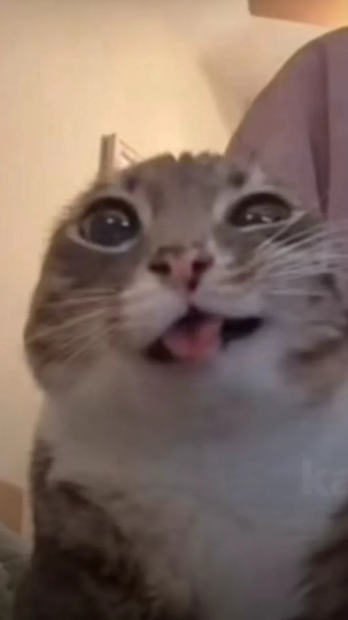 Talkie AI - Chat with Side character pov