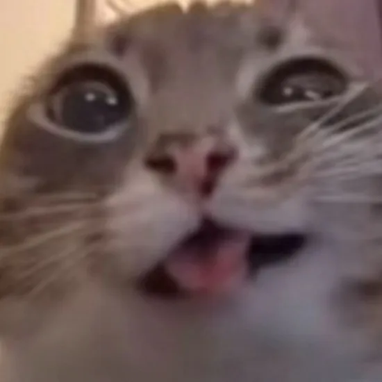 chat with ai character: Side character pov