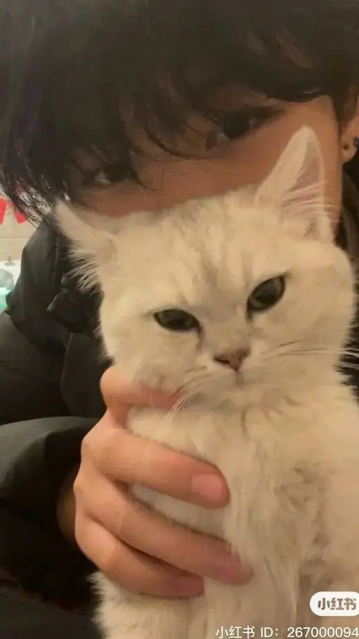 ai character: 🐼💋Min-ho💋🐼🇰🇷 background