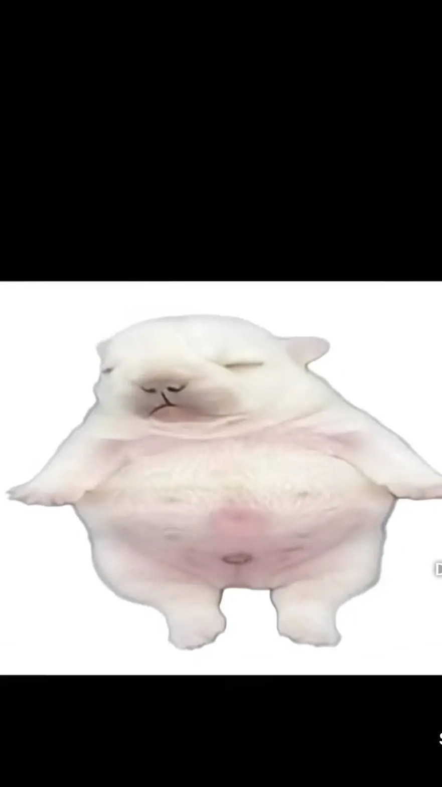 ai character: PIBBLE background