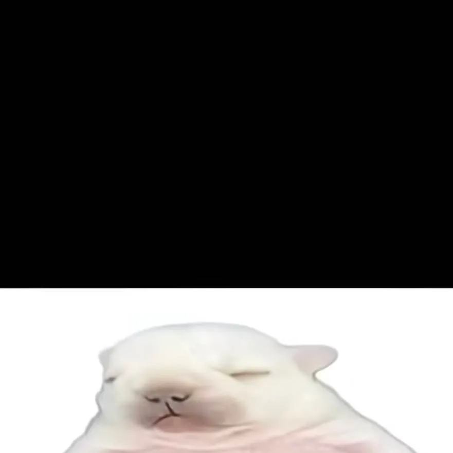 chat with ai character: PIBBLE