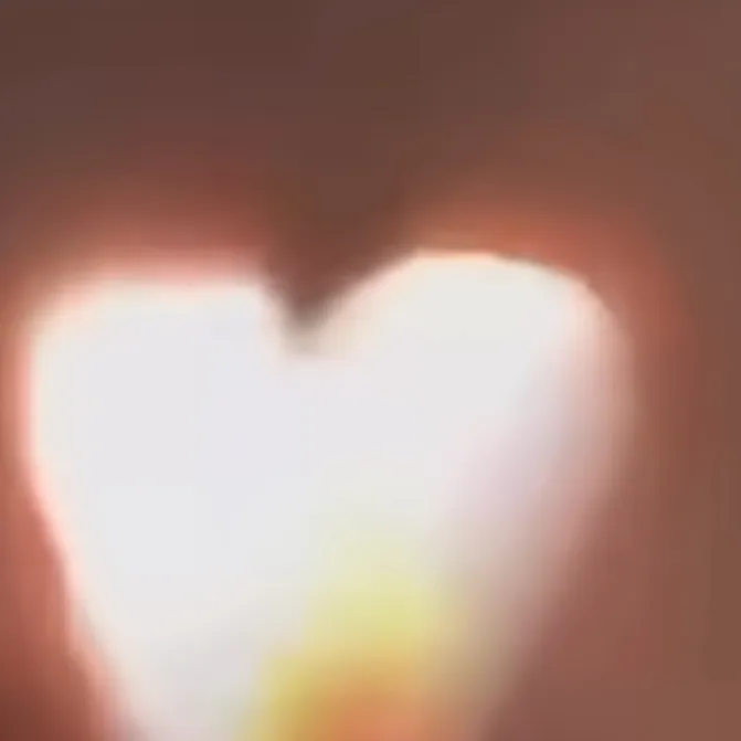 chat with ai character: No i NAURT a human