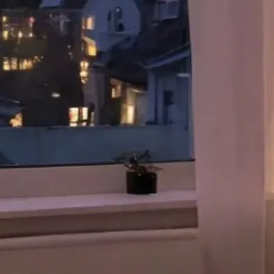 chat with ai character: Vani's bedroom