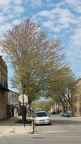 ai character: Shameless RP background