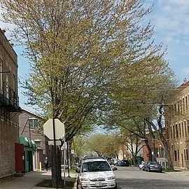 chat with ai character: Shameless RP