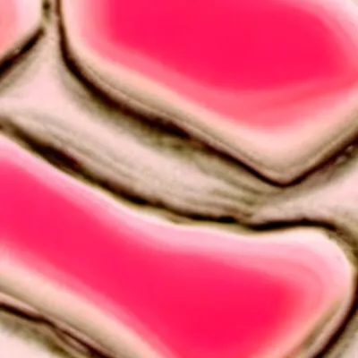 chat with ai character: Dog man Smiling 