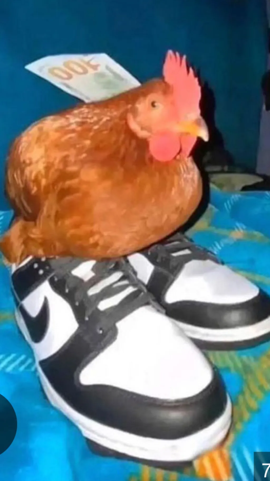 Talkie AI - Chat with Chicken man