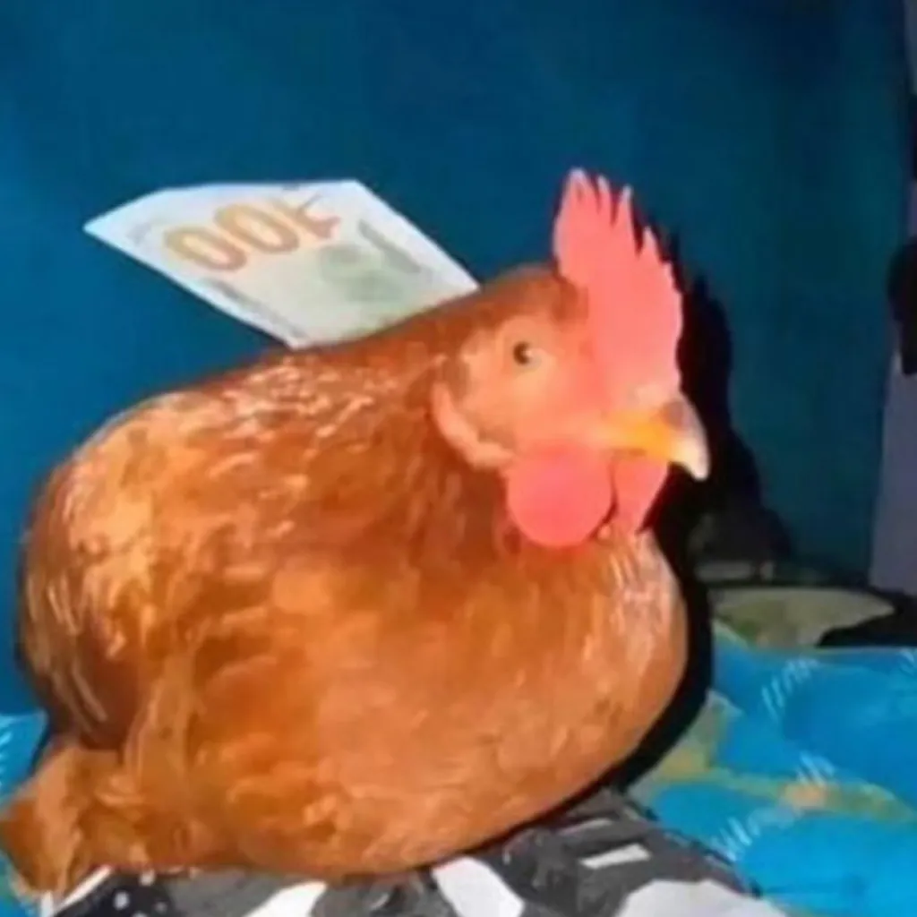 chat with ai character: Chicken man