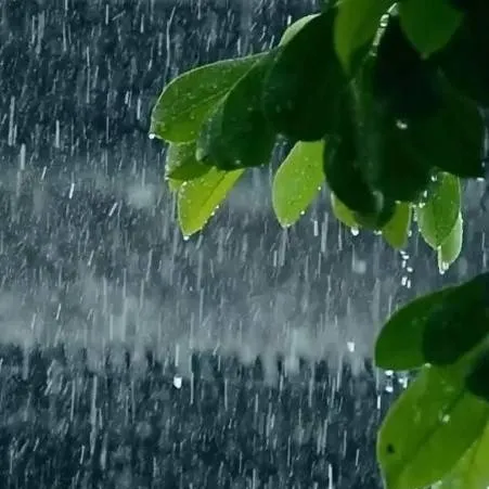 chat with ai character: rain