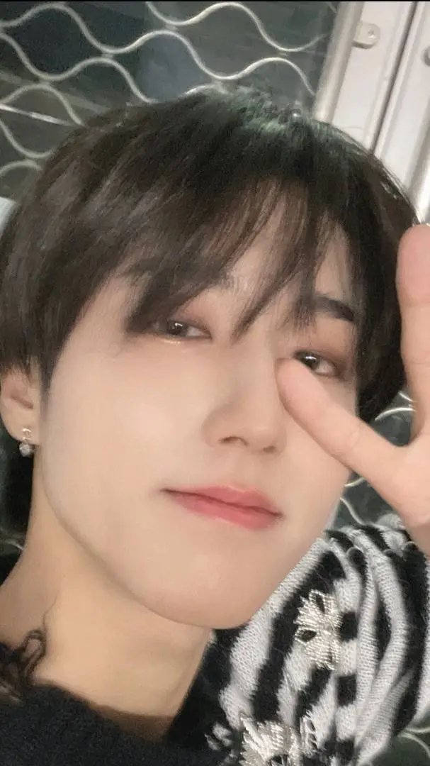 ai character: Han Jisung background