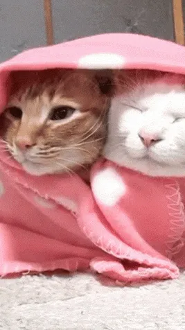 ai character: ￼ Cute kitties￼ background