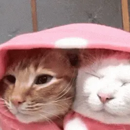 chat with ai character: ￼ Cute kitties￼