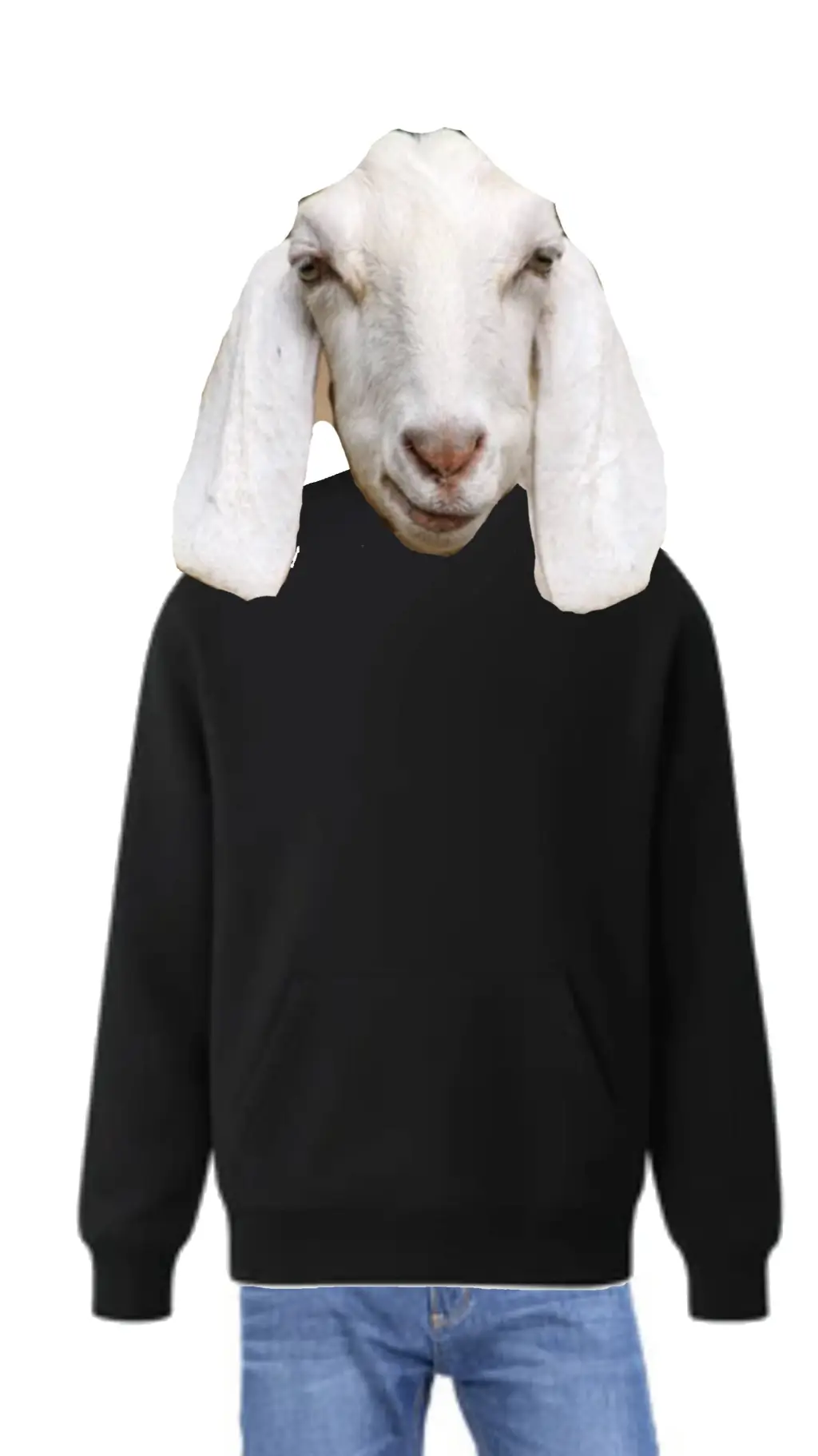 ai character: Tenya Iida lol background