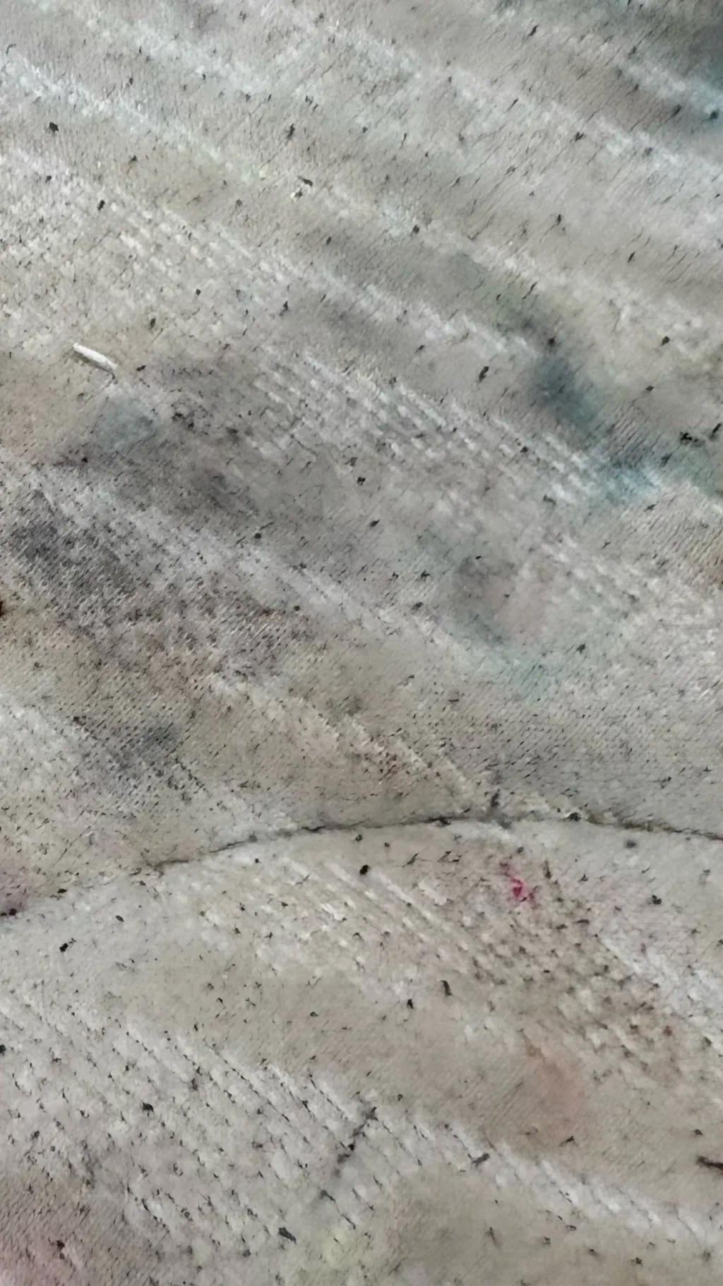 ai character: Fox infection background