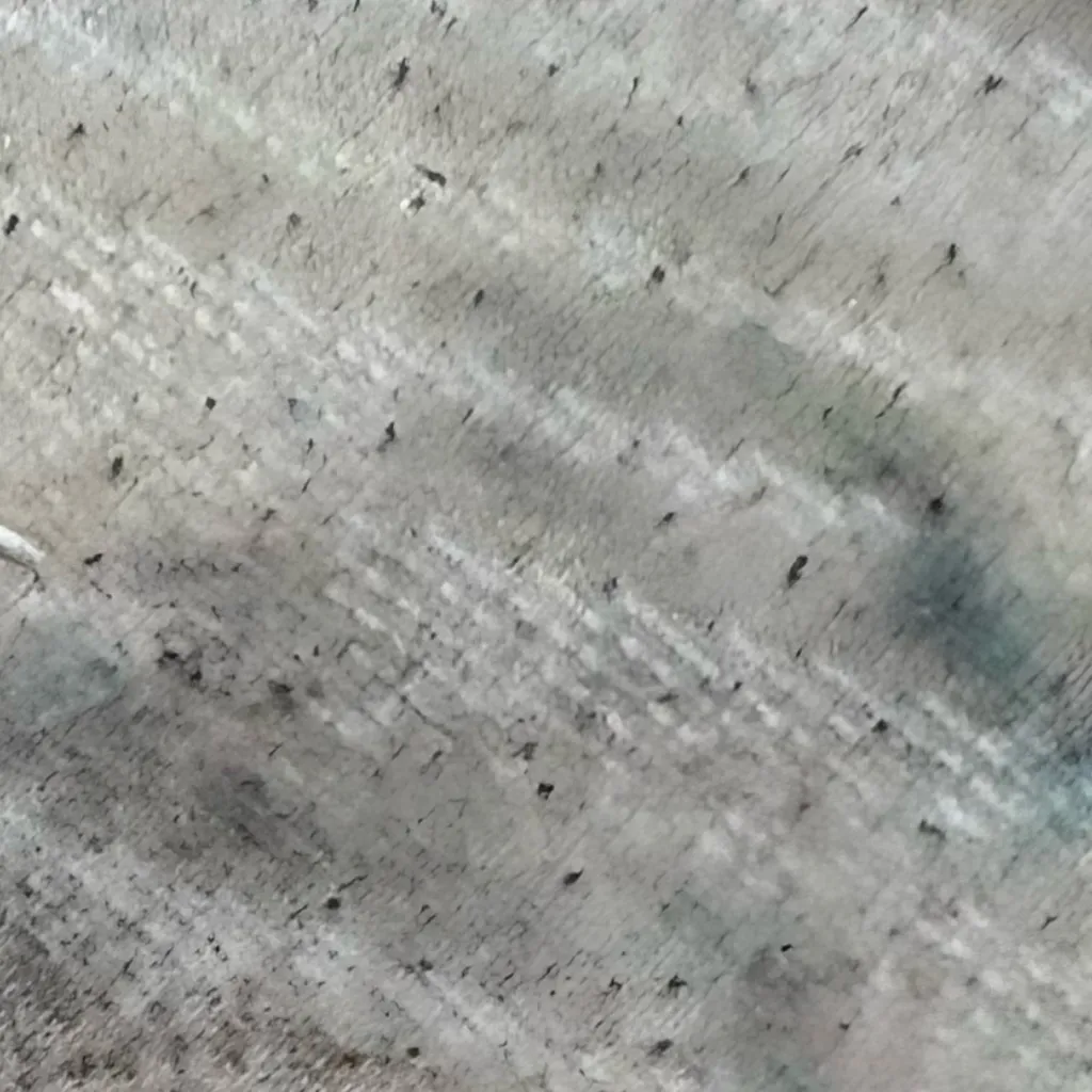 chat with ai character: Fox infection