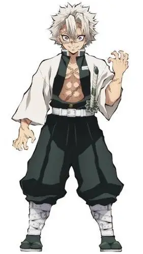 ai character: Sanemi background